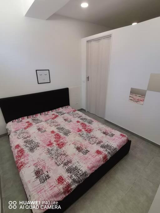 Apartament Relax Hosue Ladispoli Zewnętrze zdjęcie