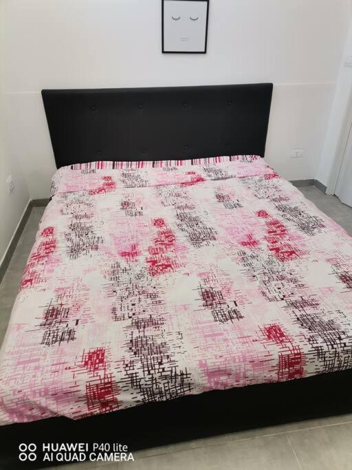 Apartament Relax Hosue Ladispoli Zewnętrze zdjęcie